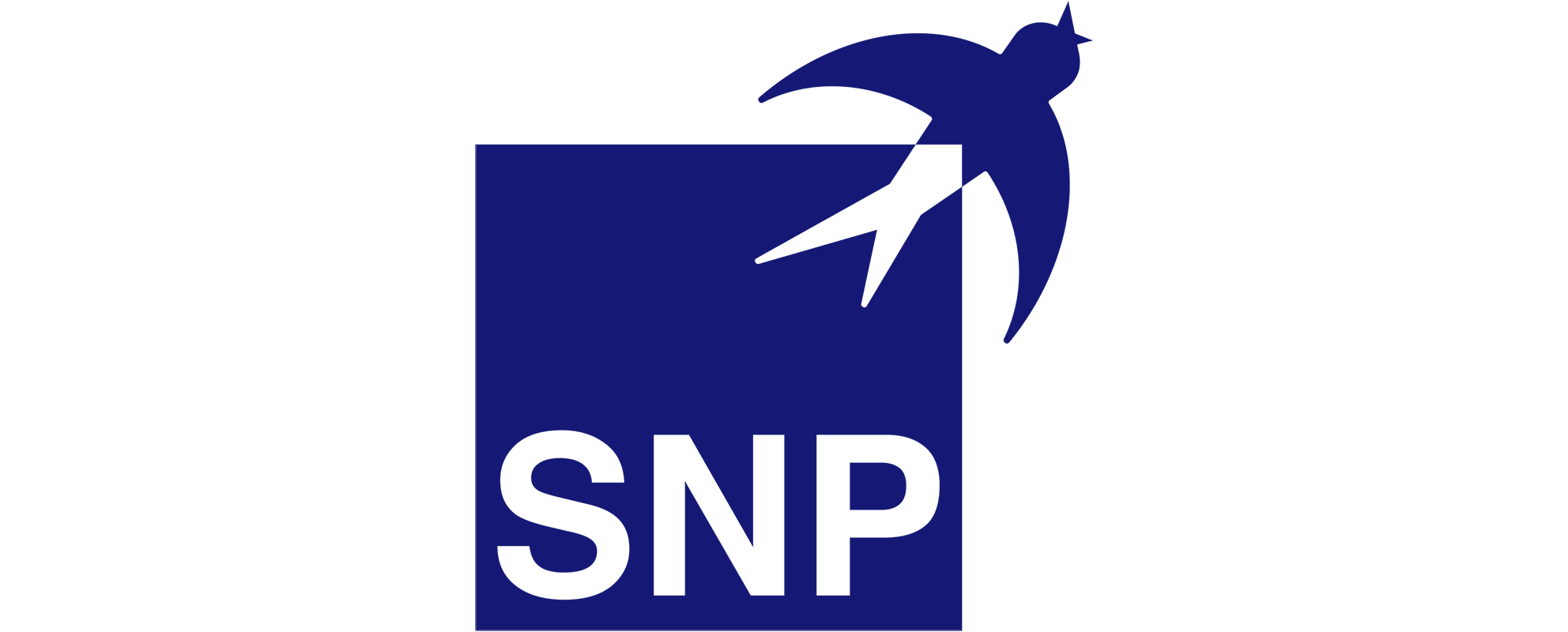 SNP Group Logo